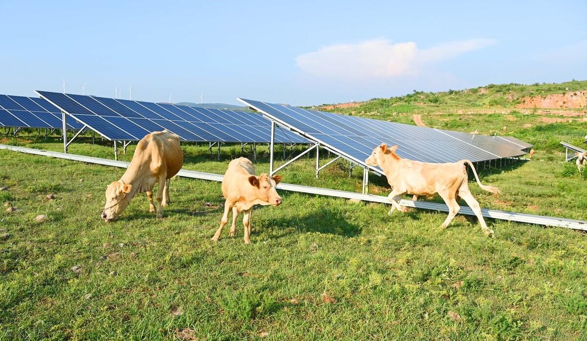 大理光伏太阳板支架安装专项施工方案范文
